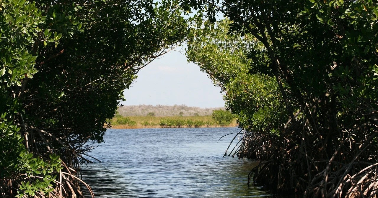 Fun In The Sun Tour — Islamorada