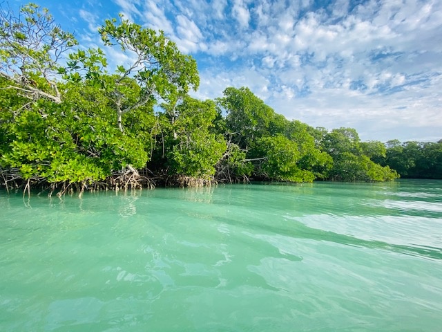 Morning Glory Tour — Islamorada