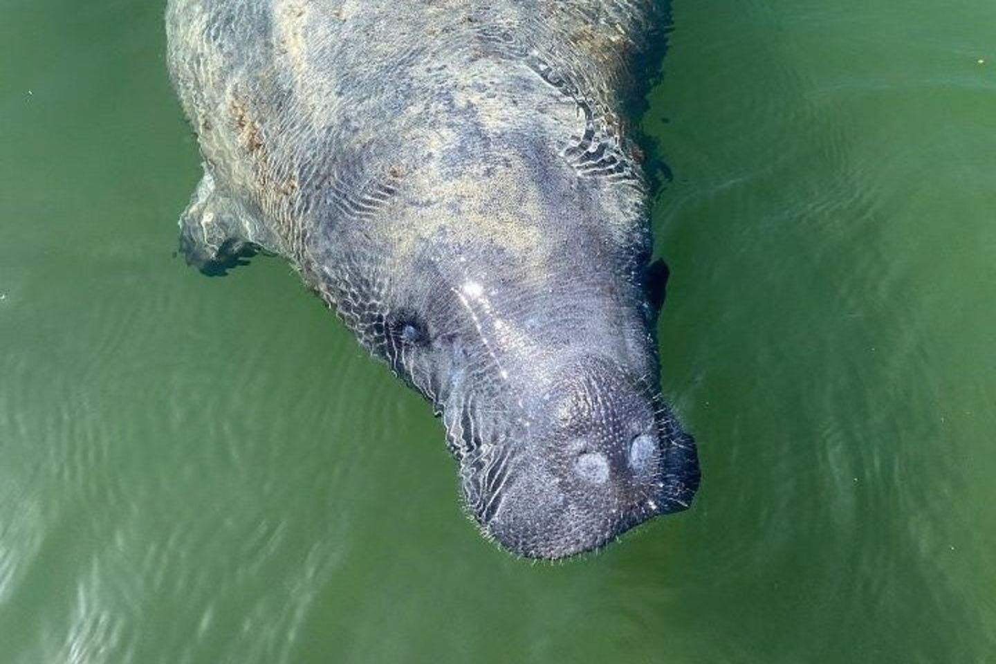 Kayaking & Hiking in Everglades National Park