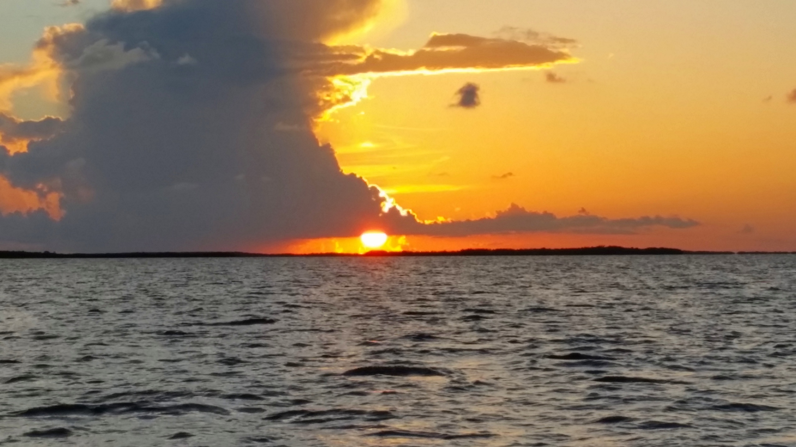 Sightseeing Cruises — Key Largo