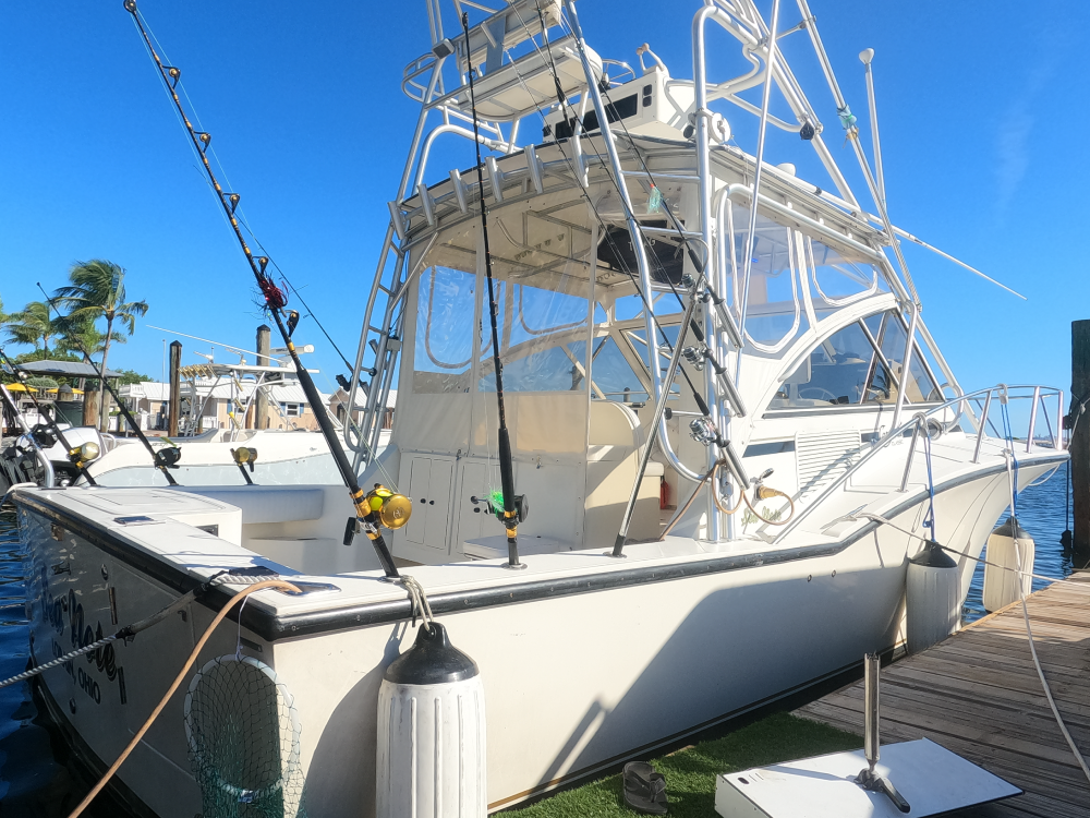 6hr Charter - 35' Carolina Classic