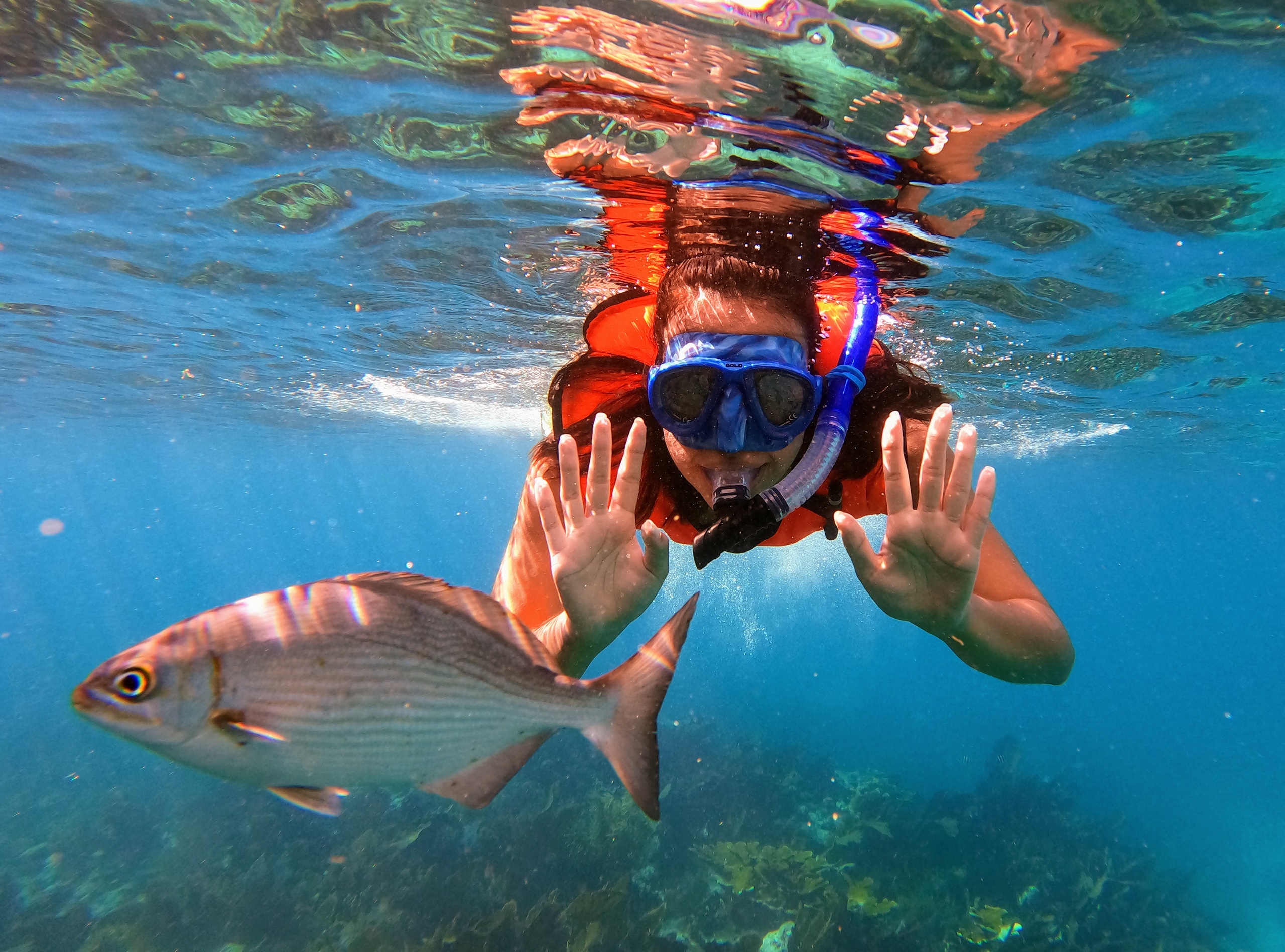 Two Reef Snorkel Only Tour - All Snorkel Equipment Included! — Key Largo