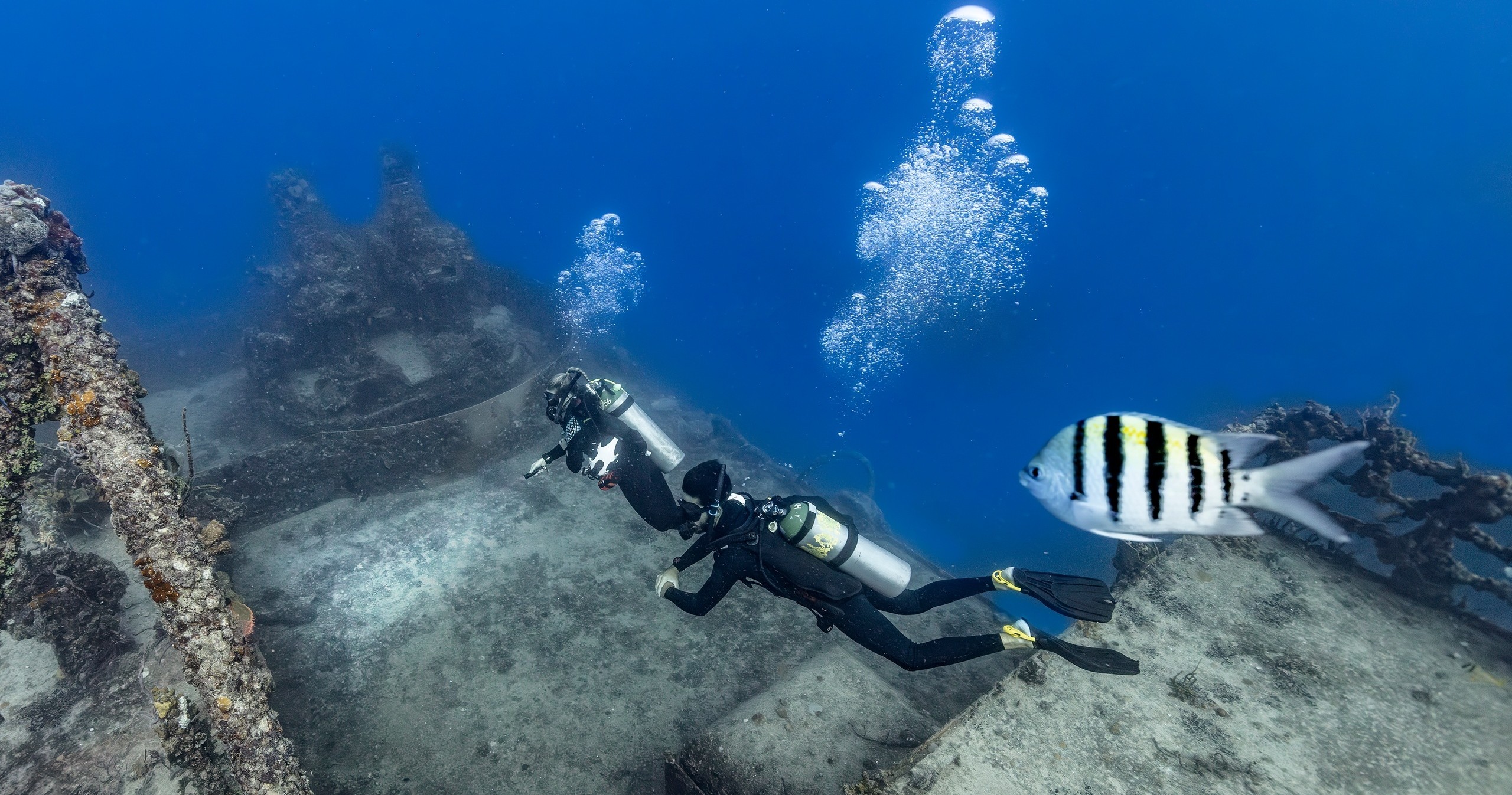 Scuba Diving Charter — Islamorada