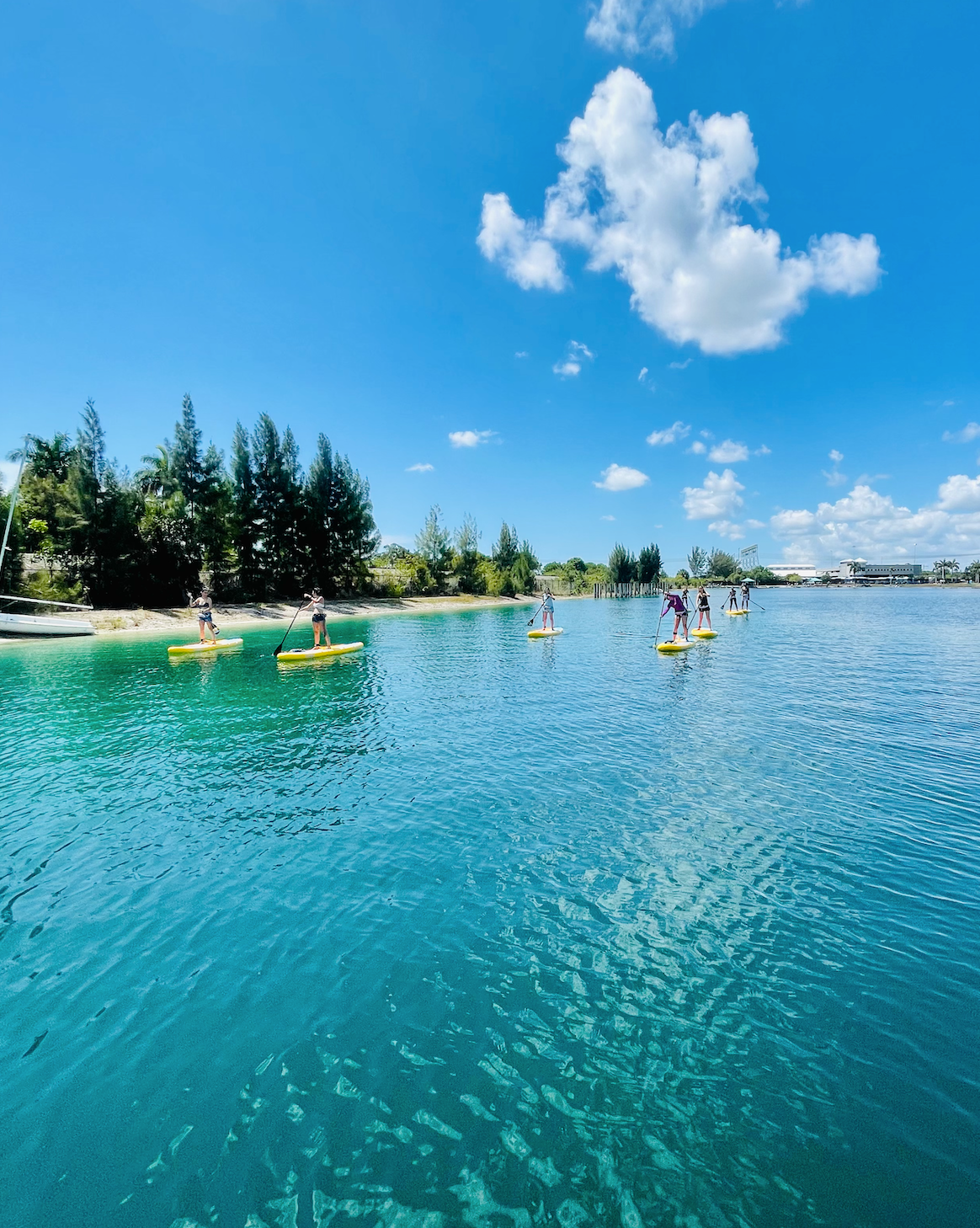 Private SUP Paddle Lesson - Tigertail Lake