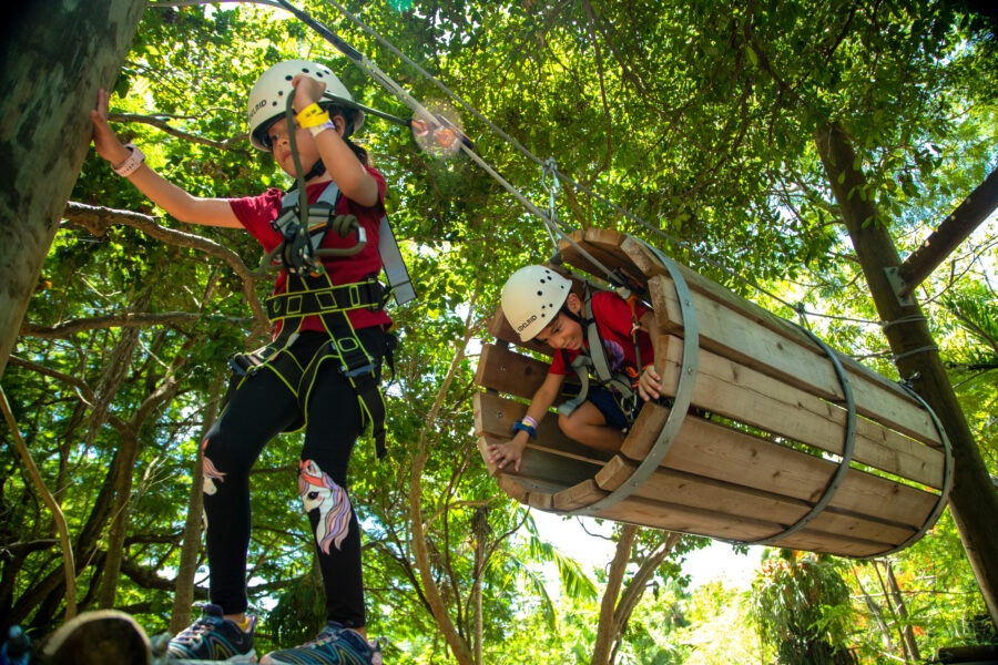 Discovery Courses in Miami
