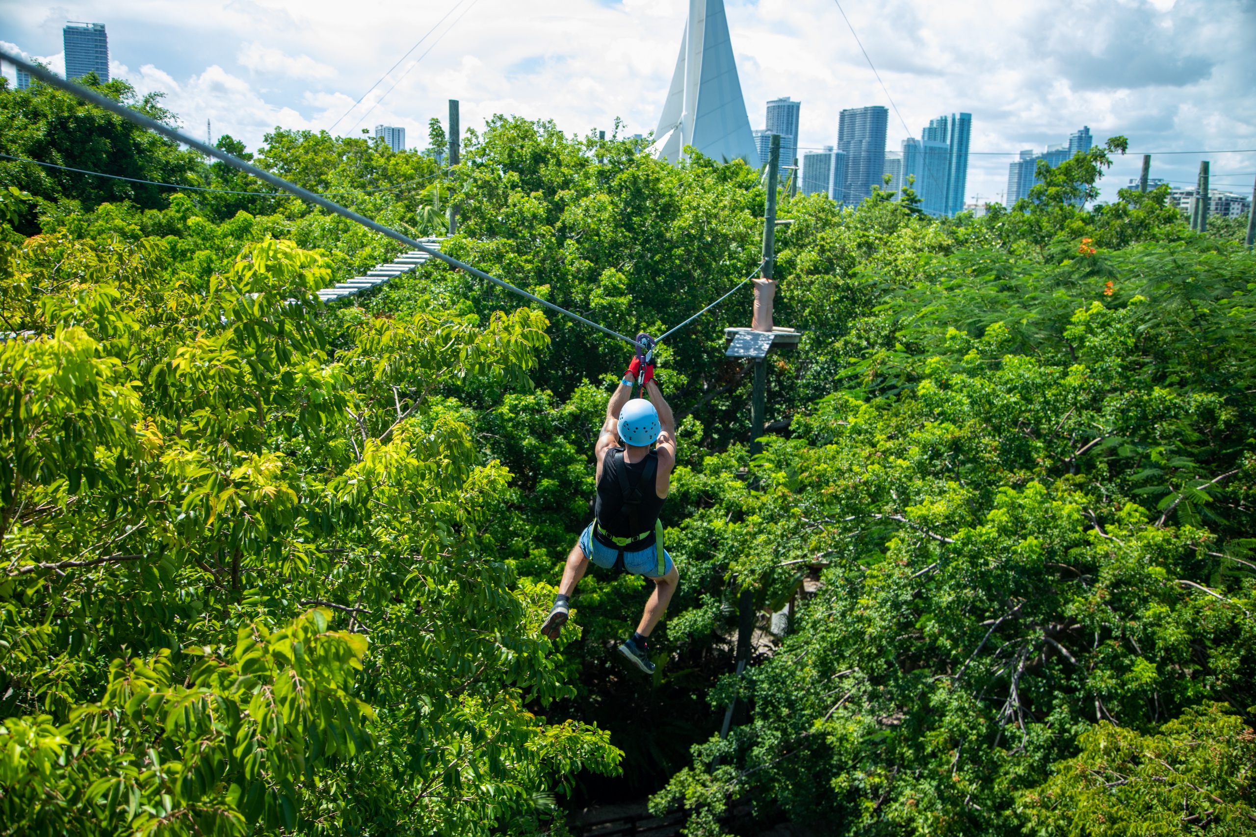 Thrill-Seeker Trek — Miami
