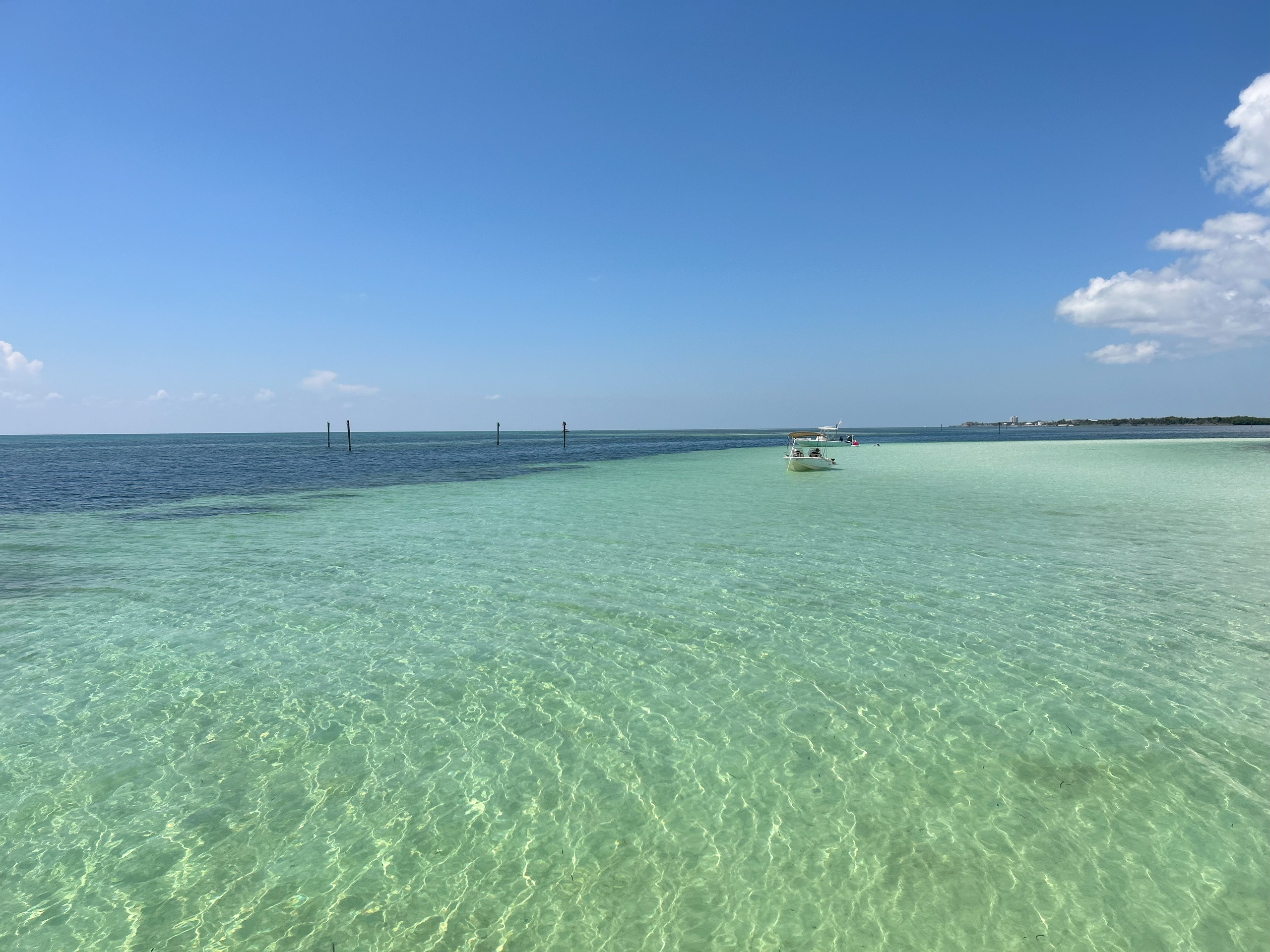 Island Sandbar Tour | 4 Hours — Marathon
