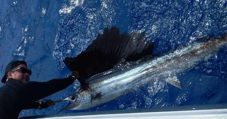 Offshore/Reef Fishing — Key West