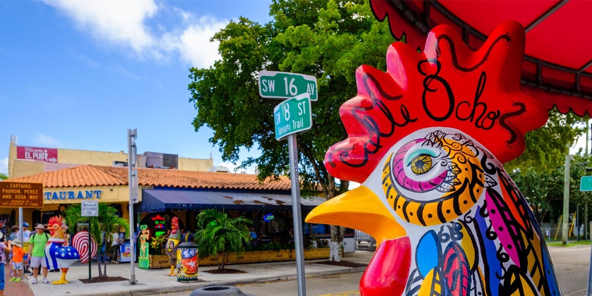 Little Havana + Everglades Airboat Ride