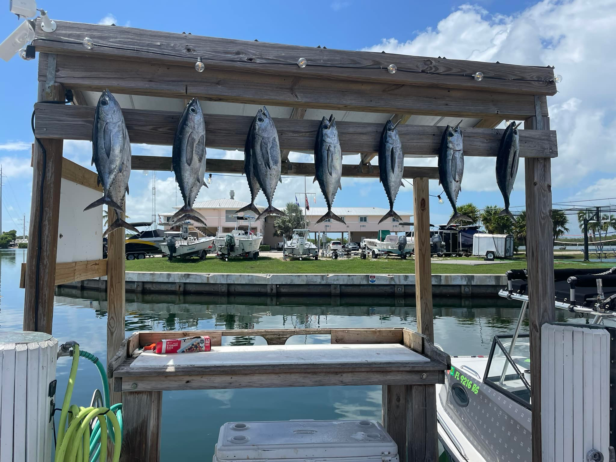 4 Hour Trip (AM) — Islamorada