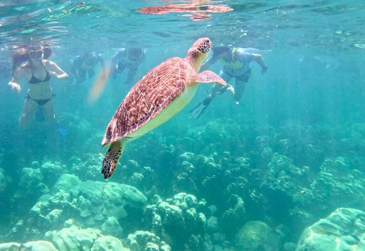 Snorkeling Private Charter — Islamorada