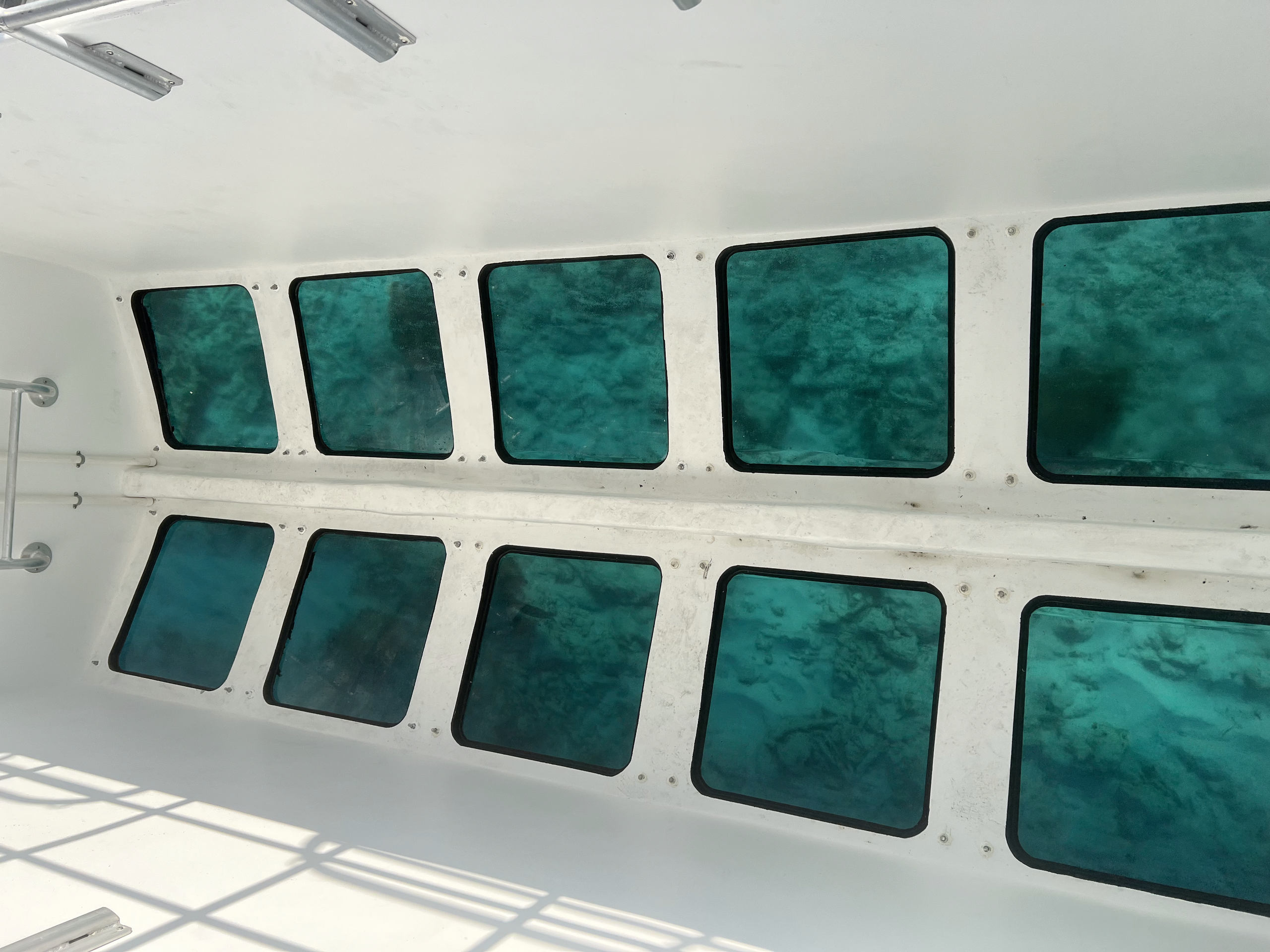 Glass Bottom Boat Day Tour — Islamorada