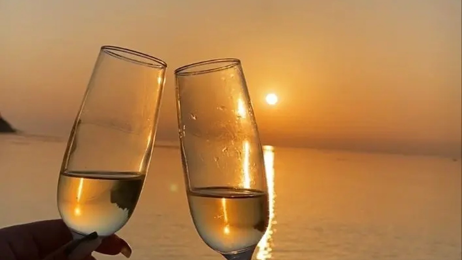 Sightseeing Champagne Cruise — Miami