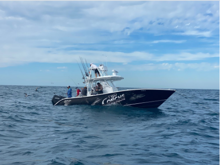 32' Yellowfin w/Tower w/Twin Mercury 300s — Marathon