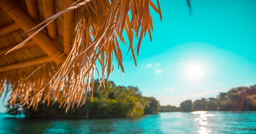 Day Cruise — Islamorada