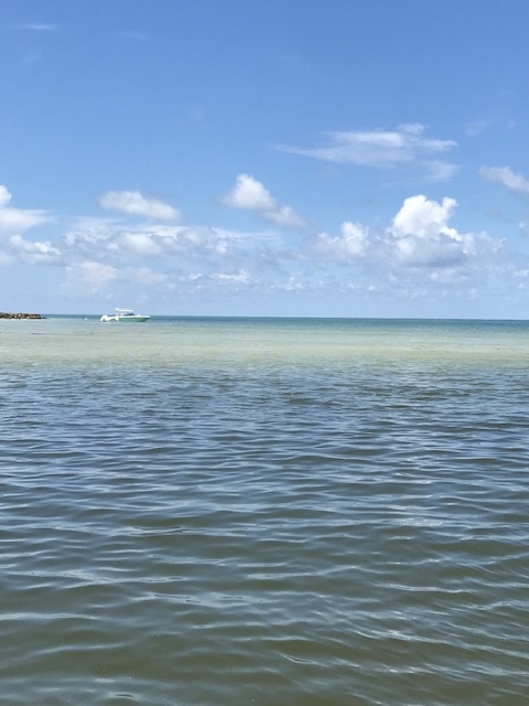 Fort Myers Beach Tiki Day Cruise — Fort Myers Beach