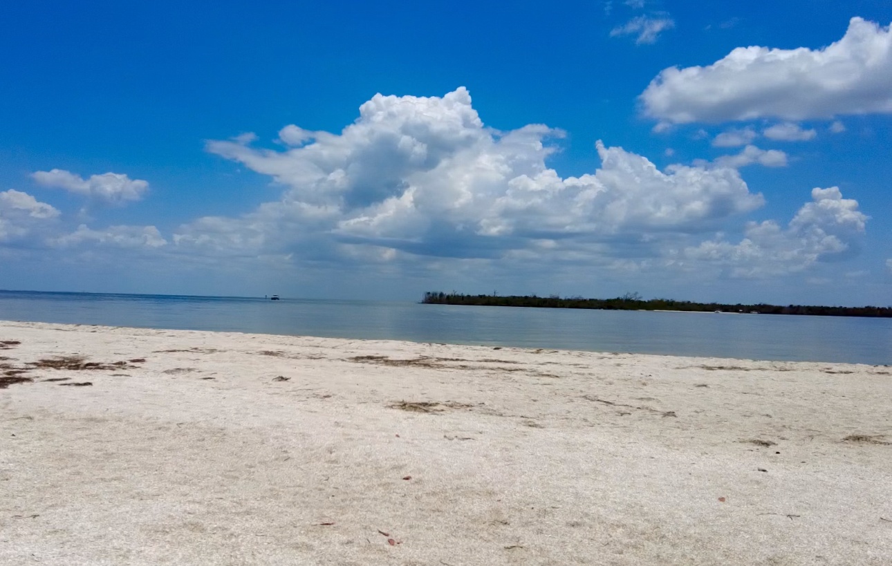 Exclusive Sandbar Boat Tour- Pelican Bay, Cayo Costa — Cape Coral