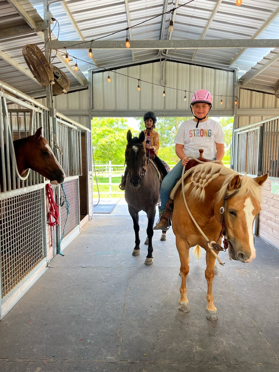 1 Hour Horseback Riding Tour + Meet and greet