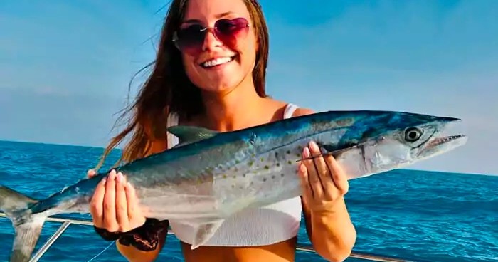 3/4 Day Trip - Reef/Wreck/Offshore — Marathon
