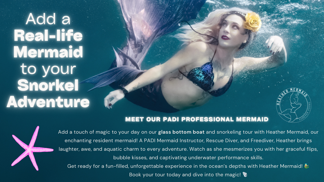 Mermaid Snorkel Trip — Fort Lauderdale
