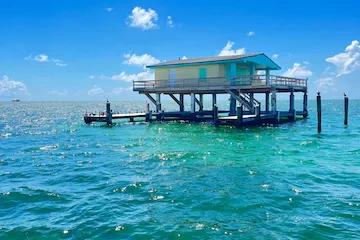 Nixon Sandbar and Stitsville Tour — Miami Beach