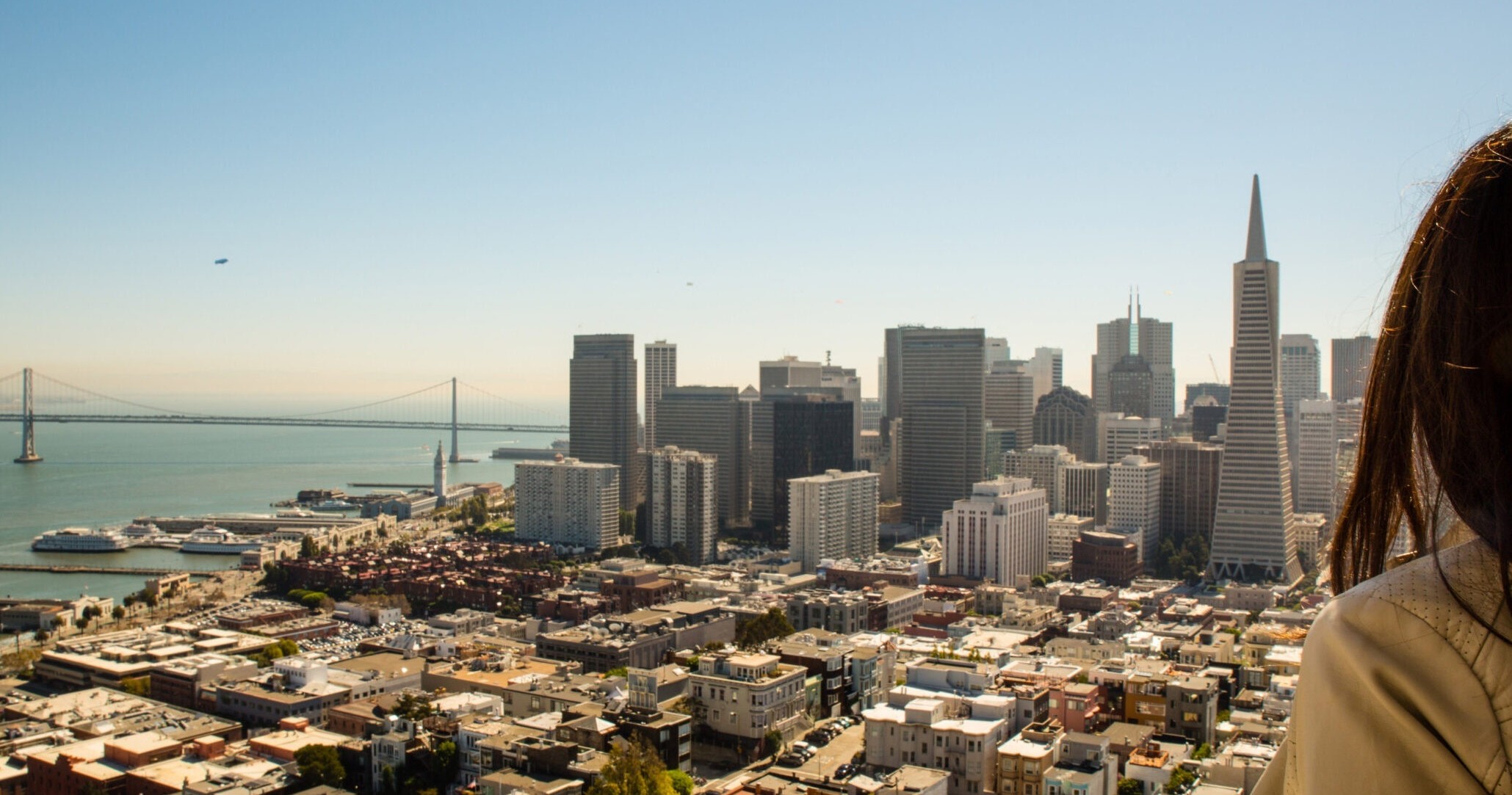 Coit Tower & Little Italy Landmark Walking Tour