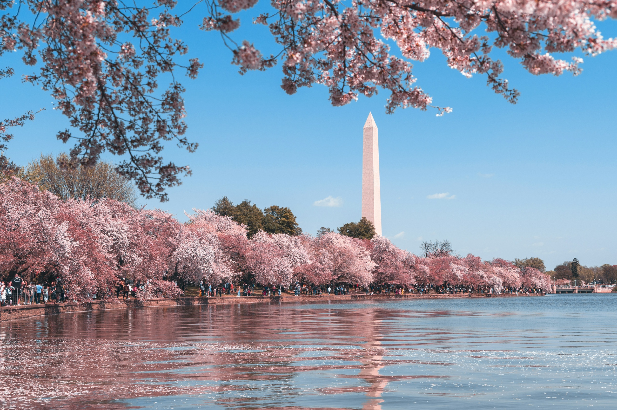 Washington D.C: Tidal Basin Highlights Explorer - Thomas Jefferson, FDR & MLK Memorials