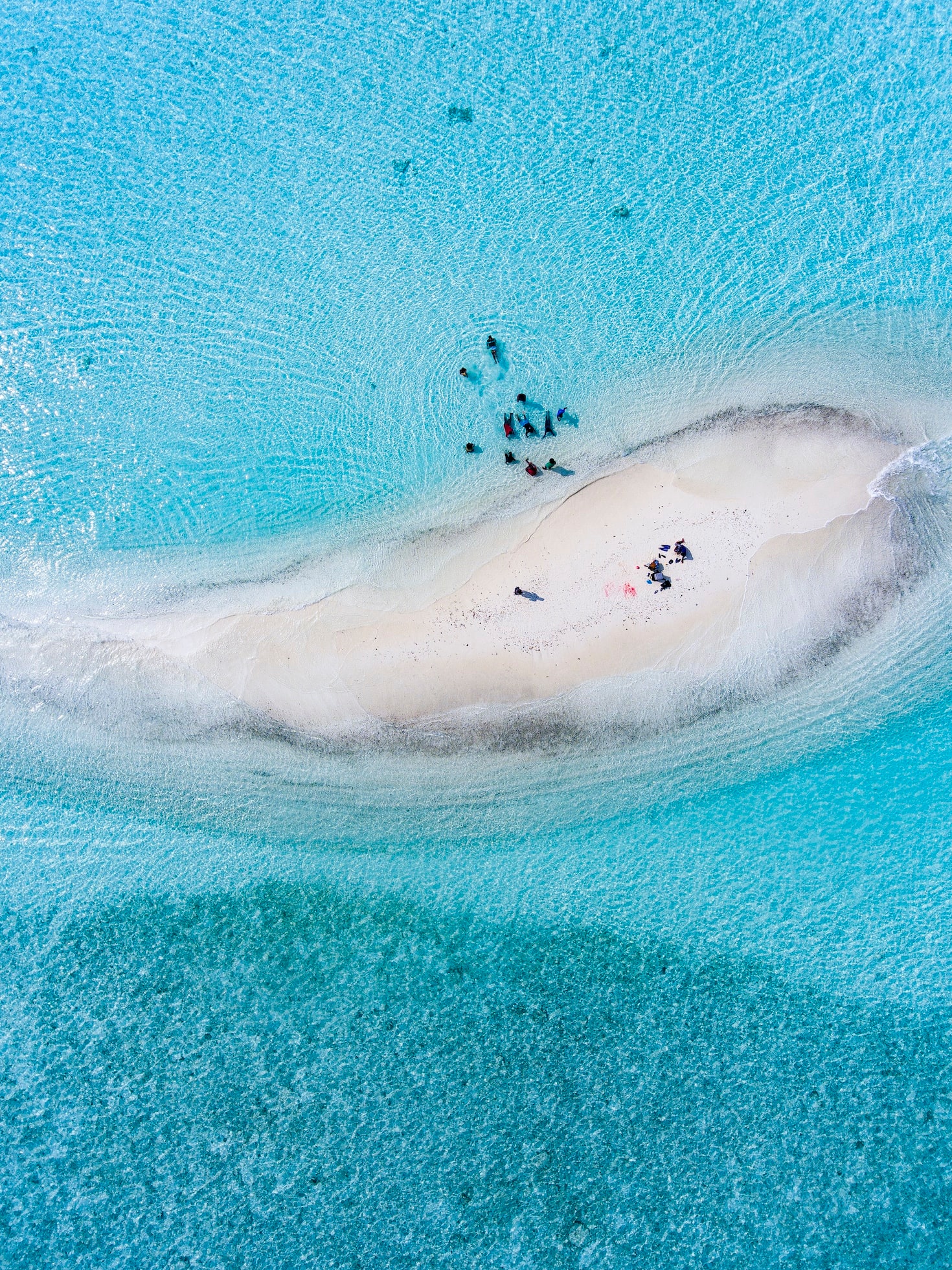 Sandbar Cruise — Islamorada