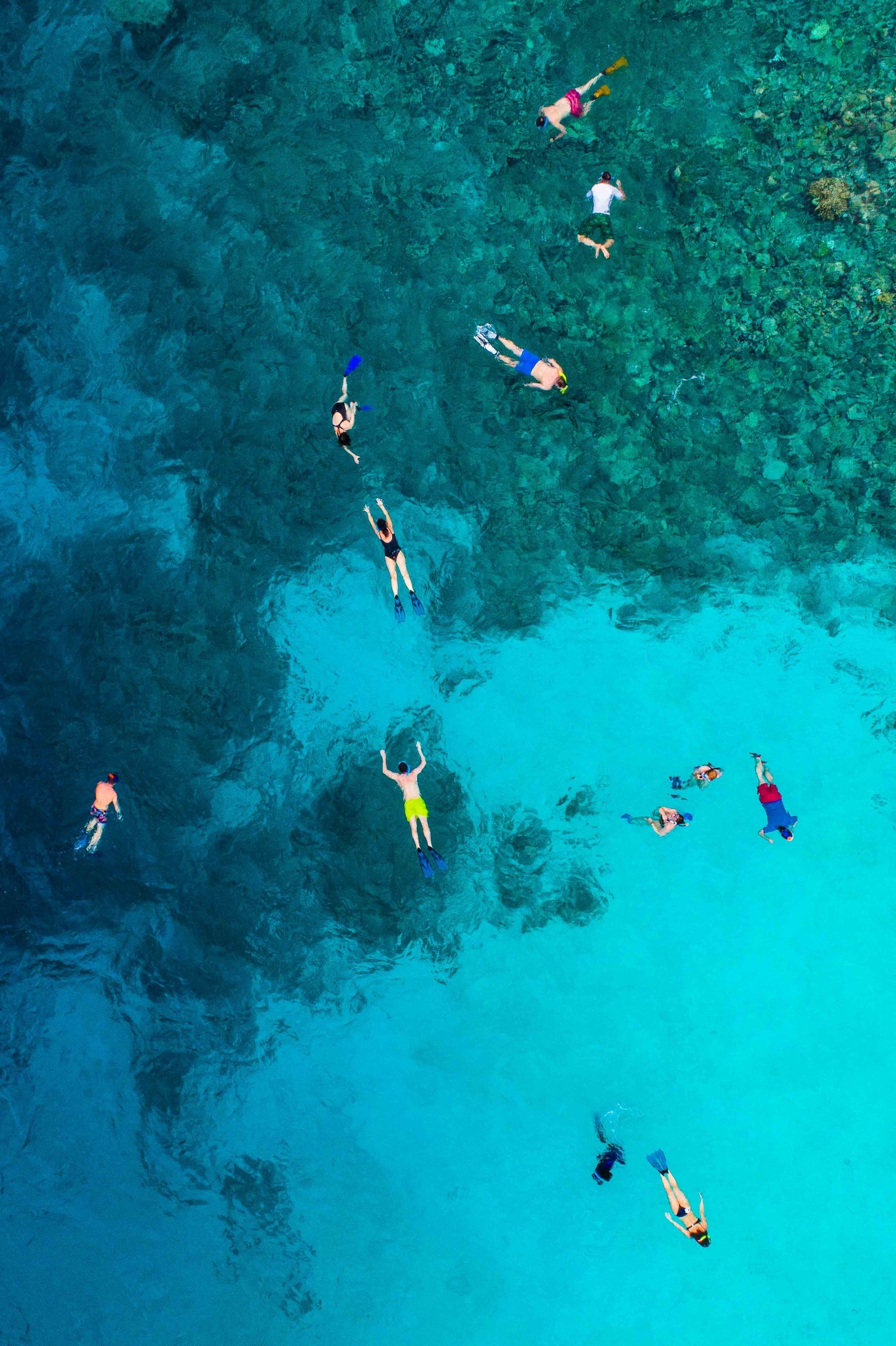 Snorkel Eco Trip — Islamorada