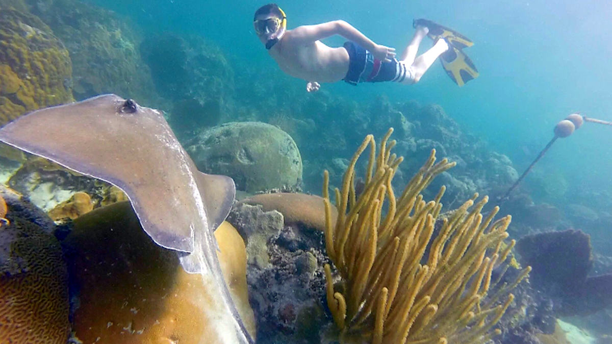 2 Hr. Private Charter Trip / Snorkel / Sandbar / Sunset Cruise or Eco-Tour - Pick One! 1-3 Persons $320 or 4-6 Persons $375 — Islamorada