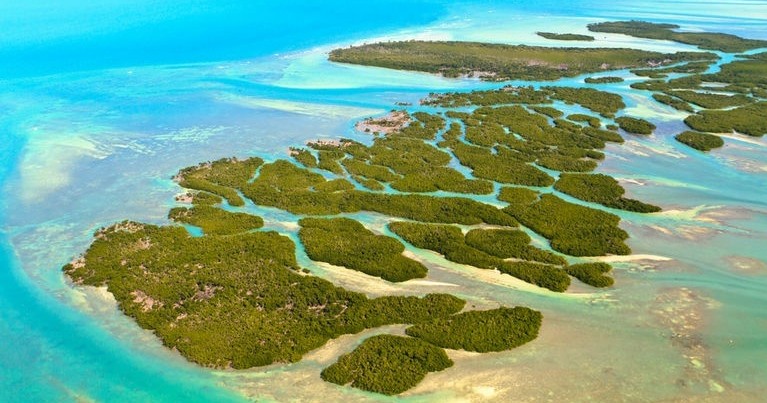 Private National Wildlife Refuge Eco Tour — Stock Island