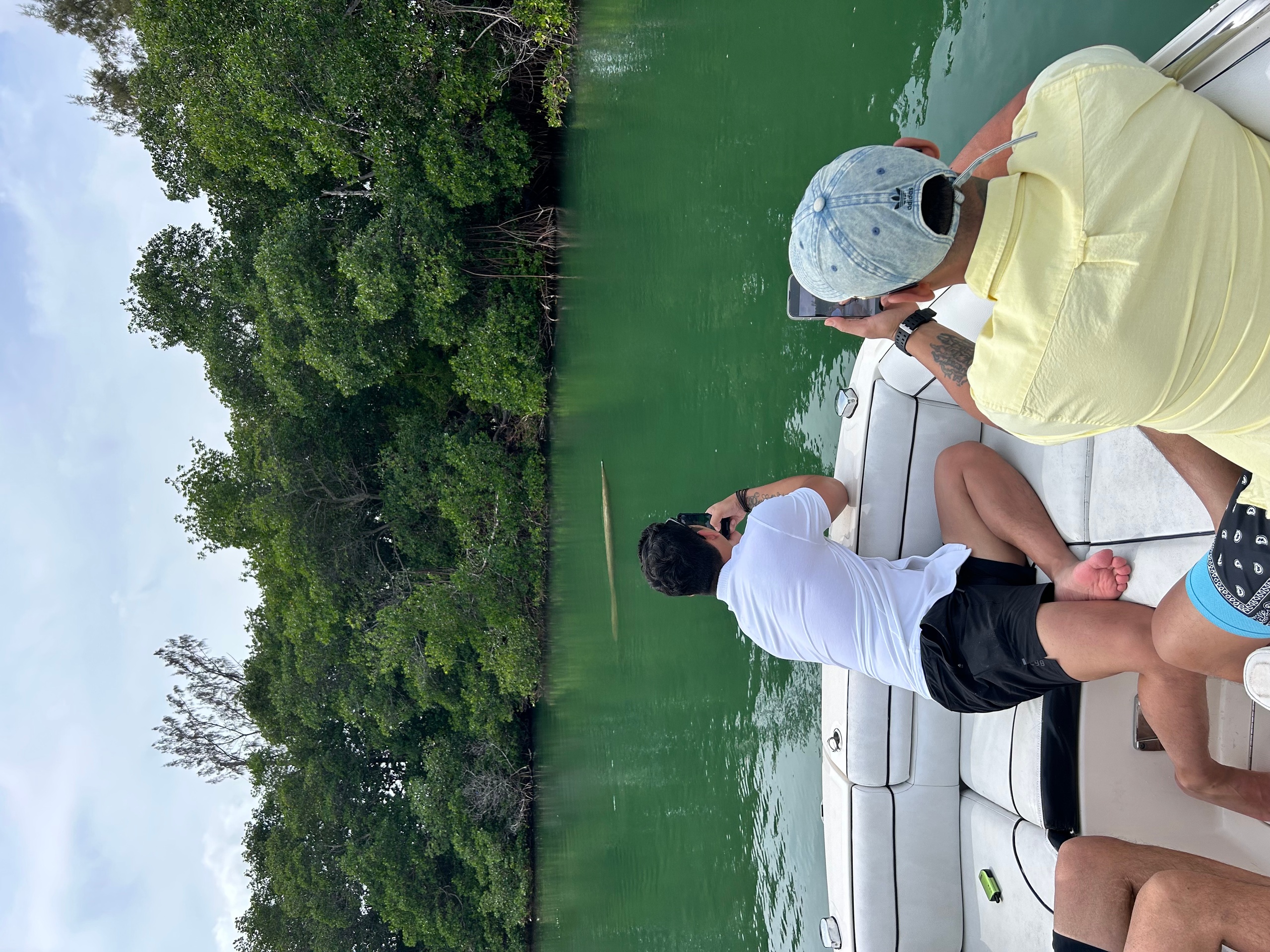 Wildlife Adventures: Miami's Eco Tour — Miami Beach