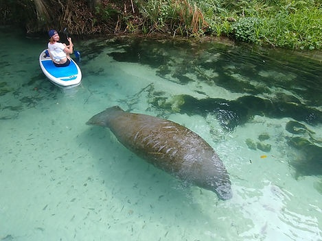 Nature & Island Exploration on SUP/Kayak — Miami
