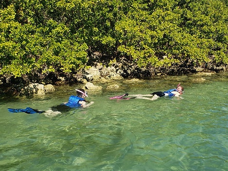 Beginner Friendly Island Snorkeling (North Miami Area) — Miami Beach