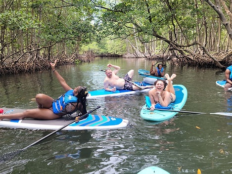 Mangrove Jungle Exploration on SUP/Kayak — Miami Beach