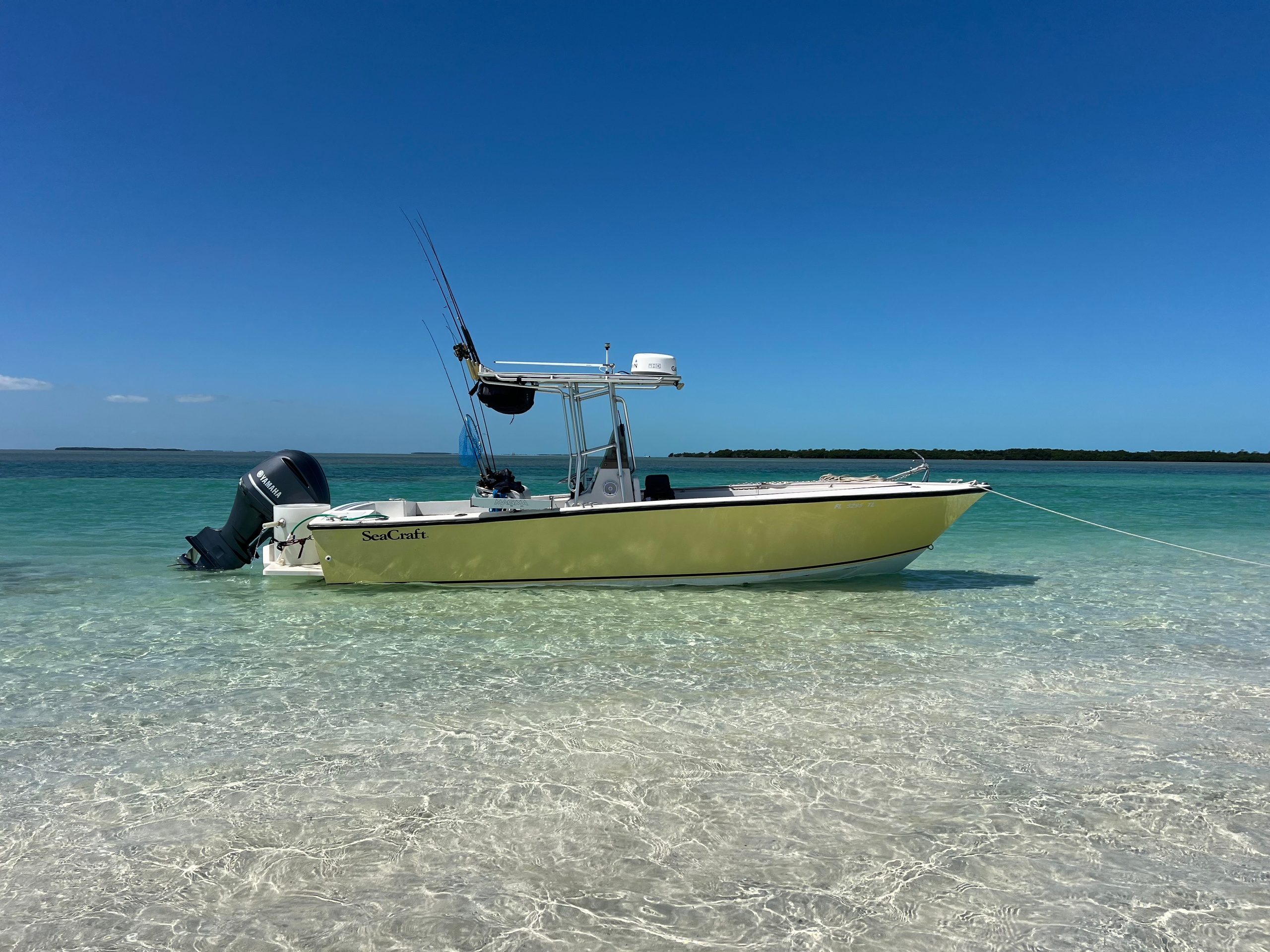 Full Day Sandbar excursion