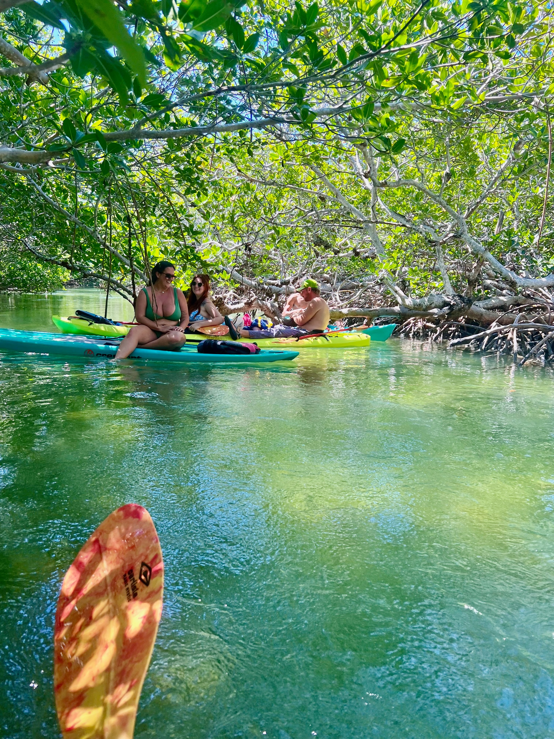 2 Hour Kayak Rental - Mangrove Maze Paddle
