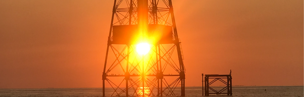 Sunset Snorkeling Cruise — Marathon