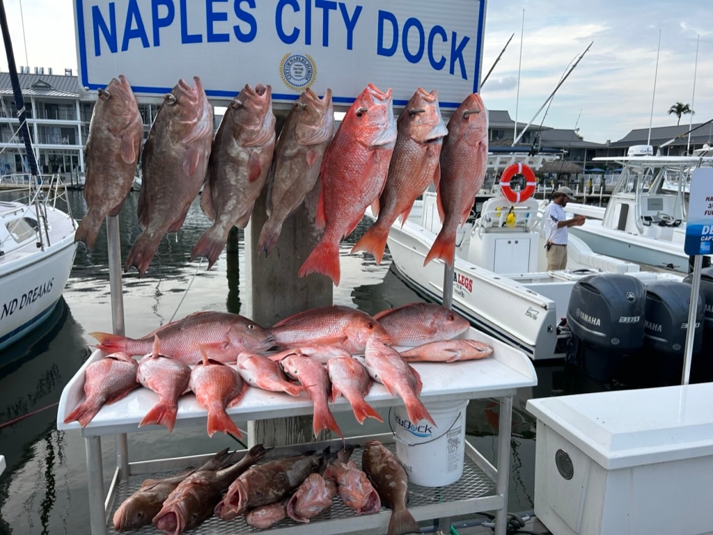 Sea Legs XLR — Naples