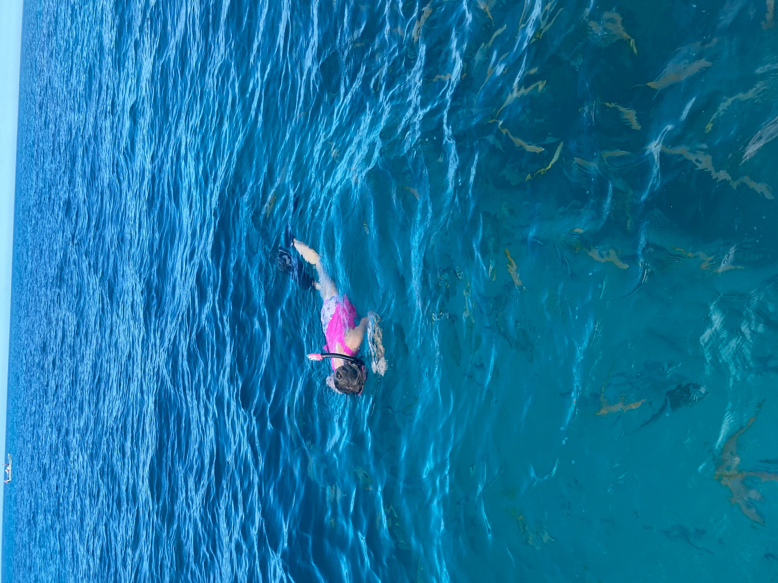 Looe Key Snorkel and Picnic Island excursion