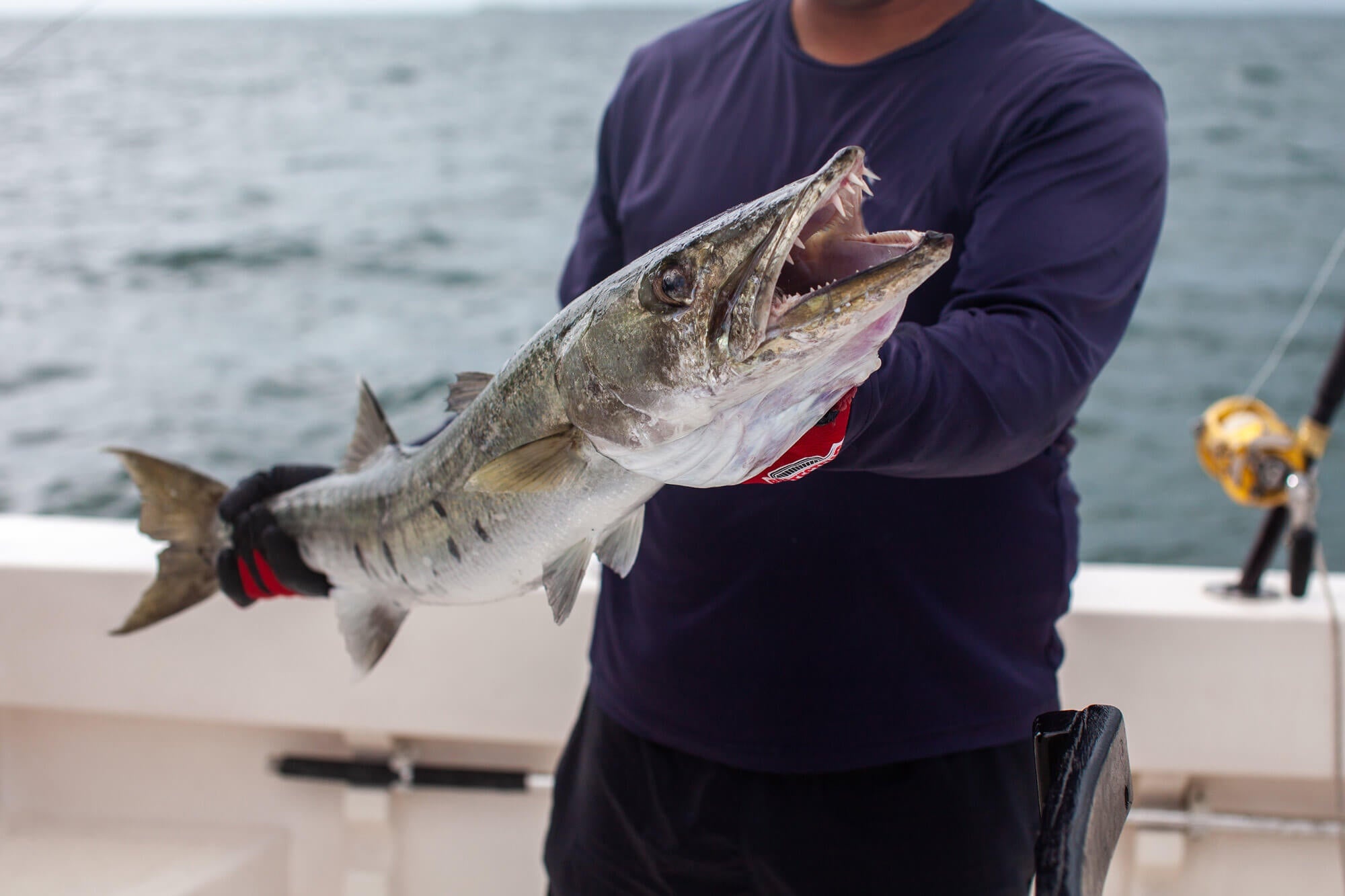 Nearshore Fishing Charter