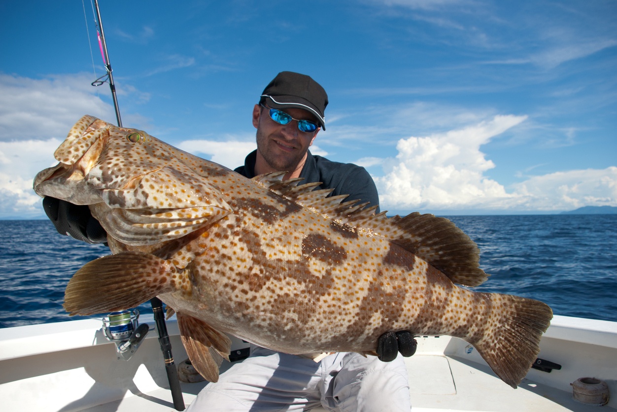 Private Patch Reef Fishing