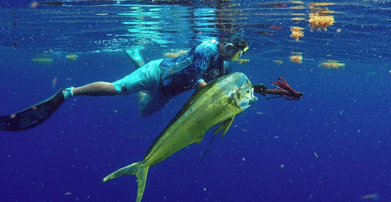 Islamorada Spearfishing Charter — Islamorada