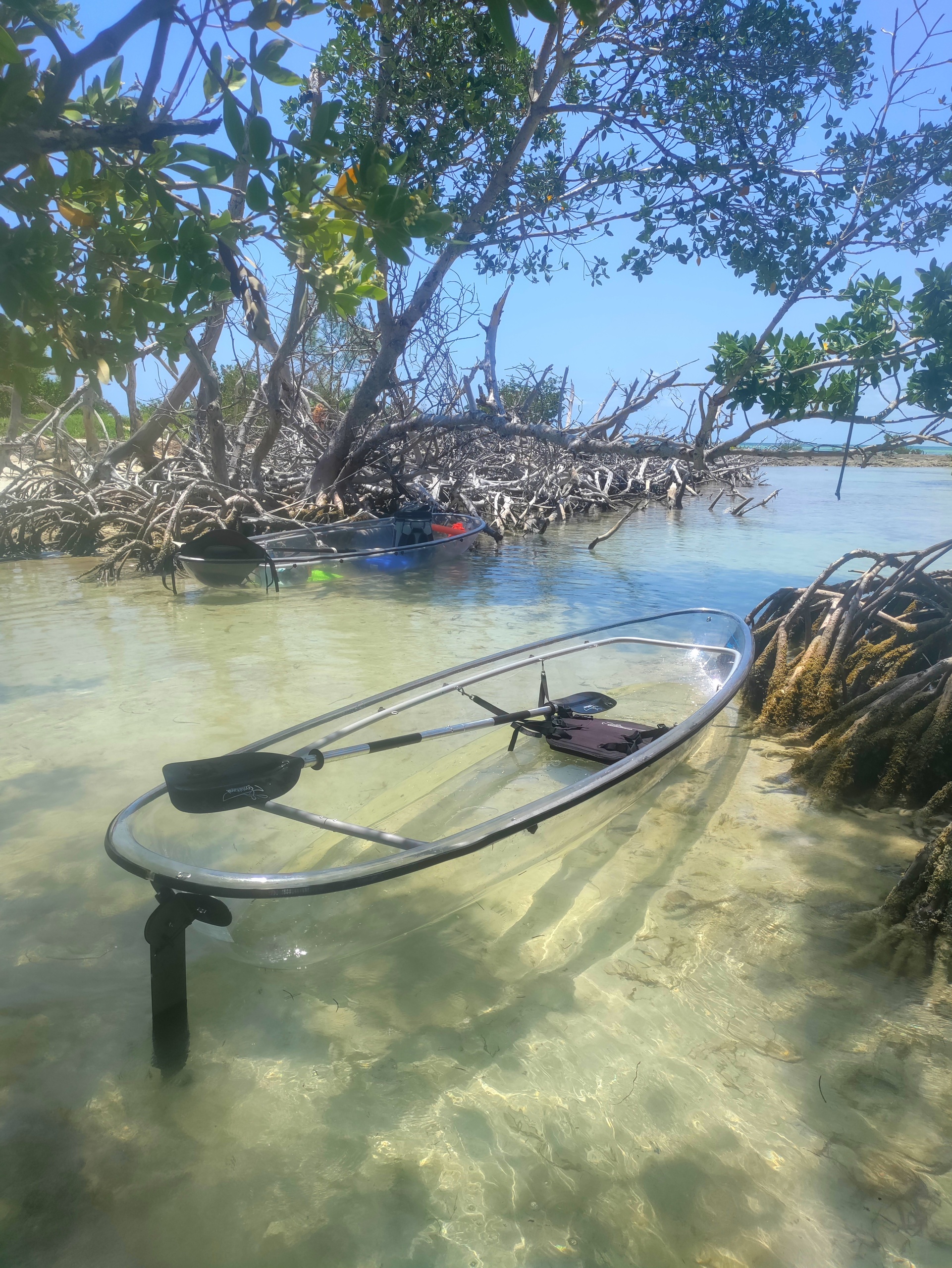 Clear Kayak Eco-Tour — Big Pine Key