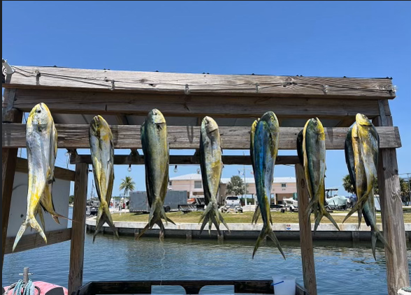 8 Hour Offshore Fishing — Islamorada