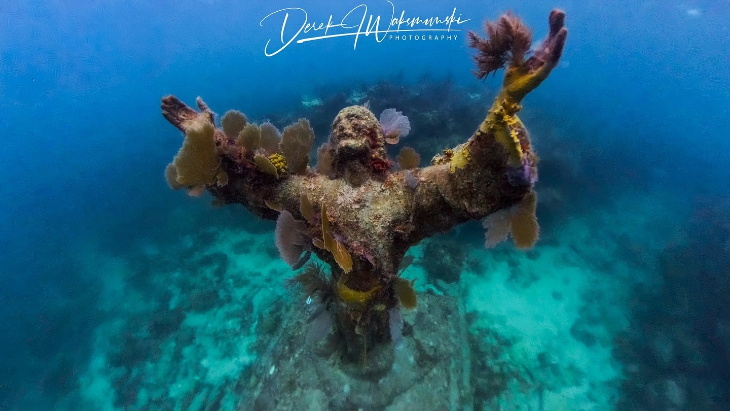 Reef Snorkel Trip — Key Largo