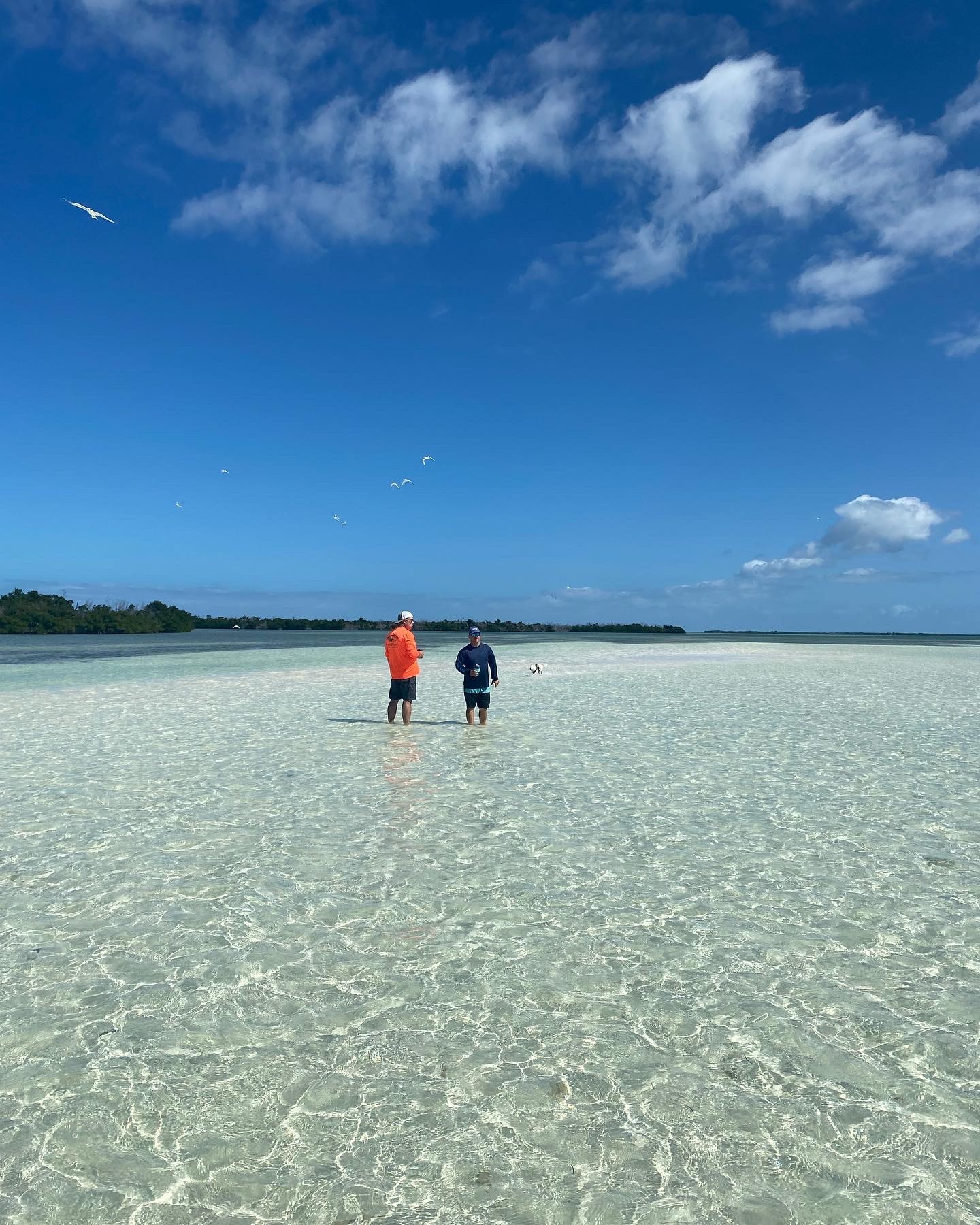 3/4 Day Sandbar Excursion