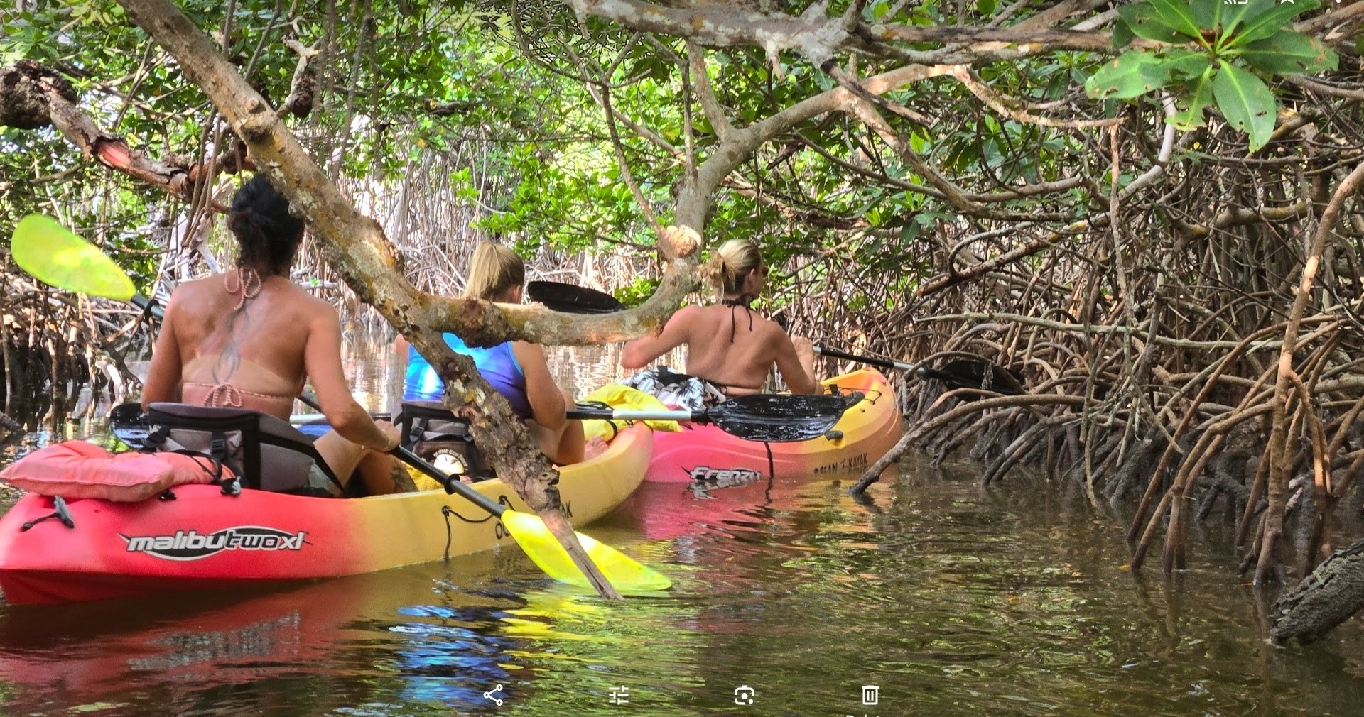 Kayak & Paddleboard Rentals — Key West