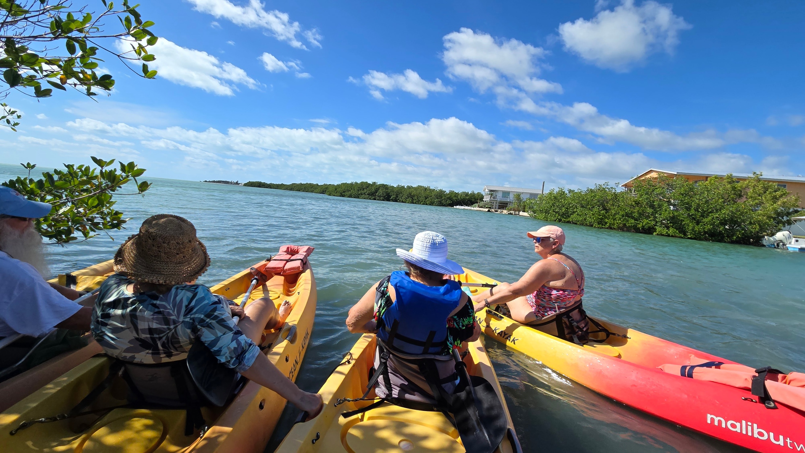 Guided Mangrove Kayak or SUP Eco Tours — Key West
