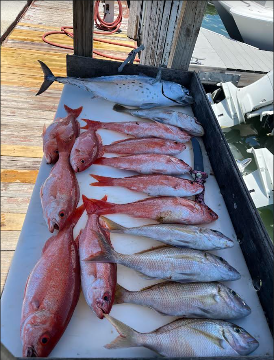 4 Hour Trip (PM) — Islamorada